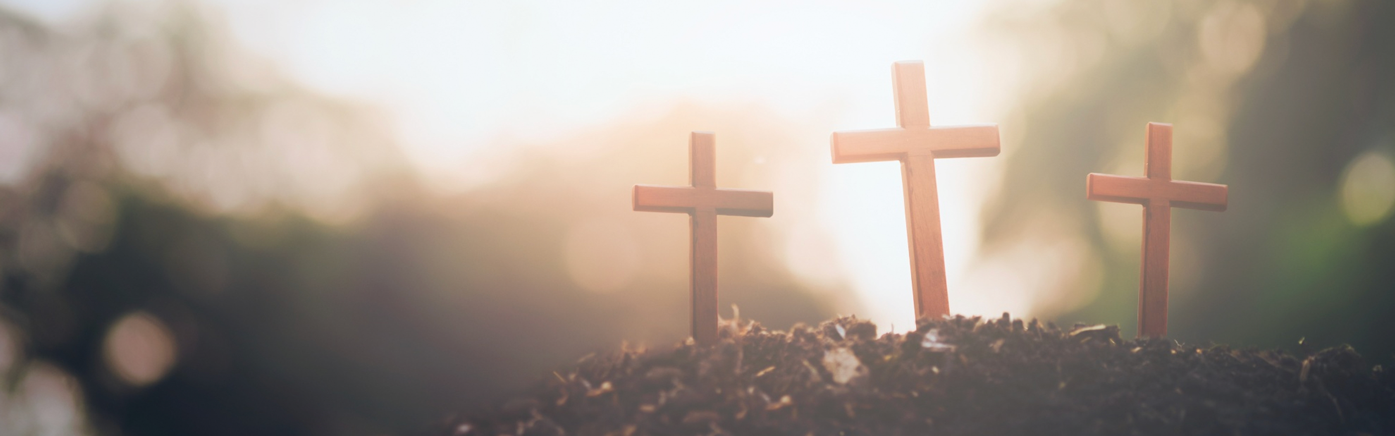Focused on Christ, Compelled by Love
